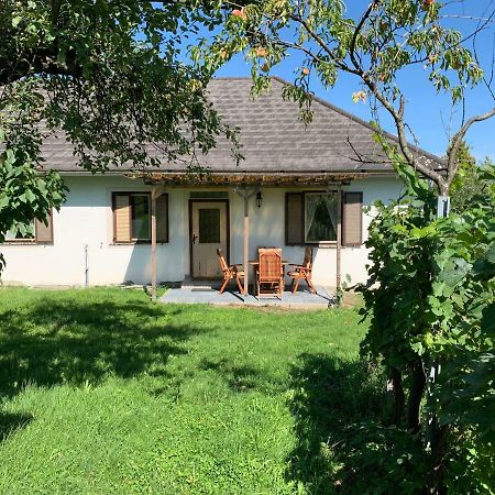 Urlaub Im Weingarten Winten  エクステリア 写真