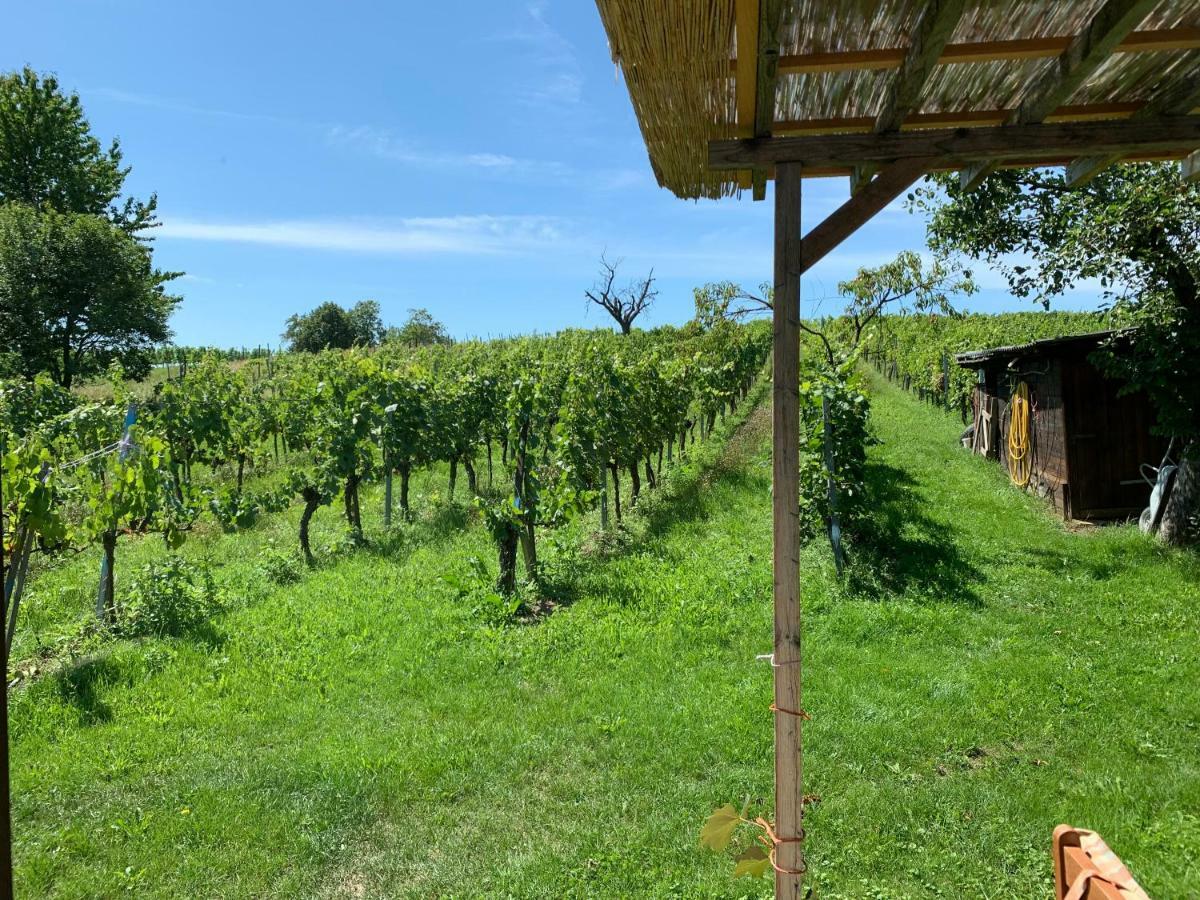 Urlaub Im Weingarten Winten  エクステリア 写真
