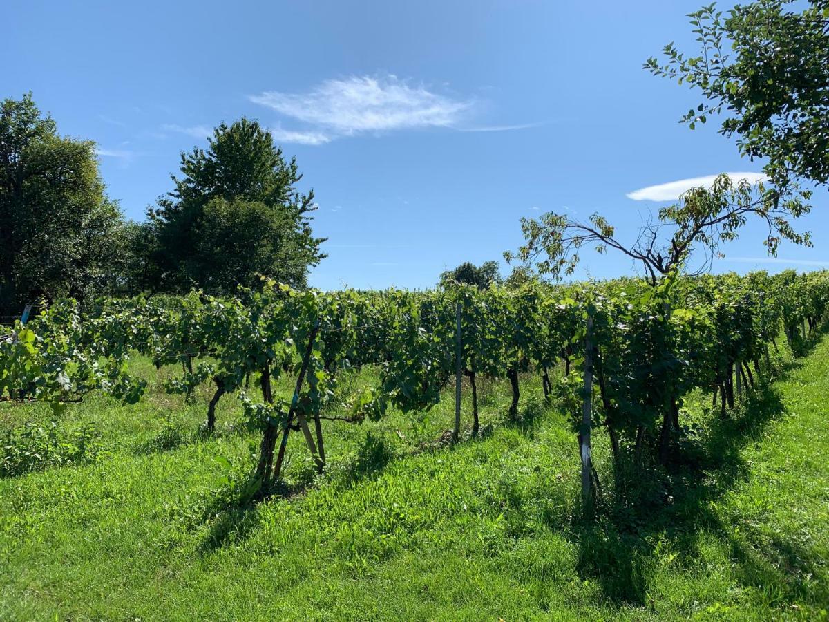 Urlaub Im Weingarten Winten  エクステリア 写真