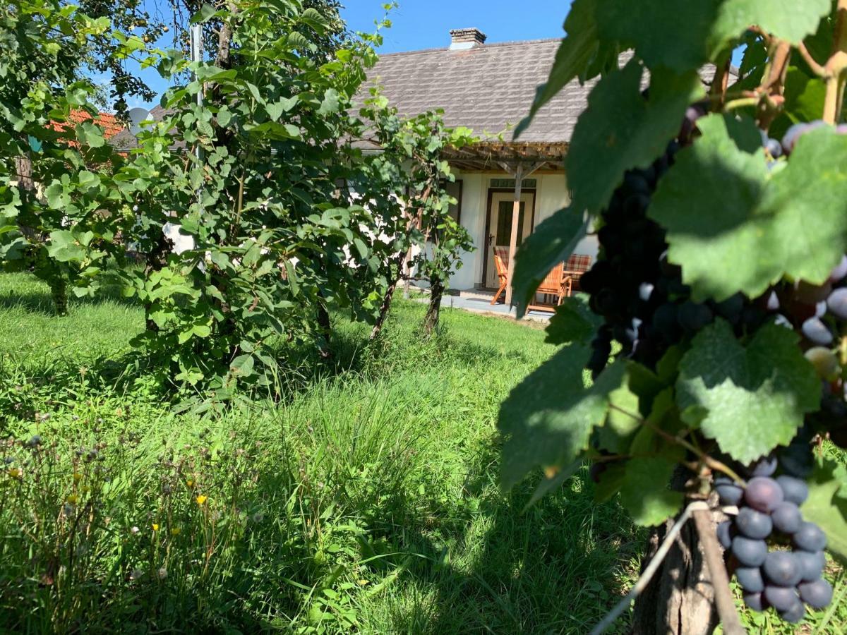 Urlaub Im Weingarten Winten  エクステリア 写真