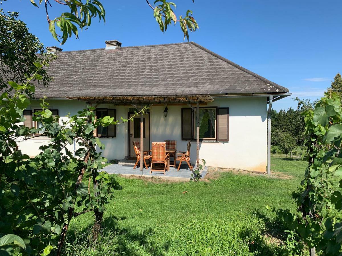 Urlaub Im Weingarten Winten  エクステリア 写真